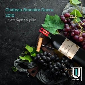 Vin Rosu Chateau Branaire Ducru Coffret 2010, 14%, 0.75L